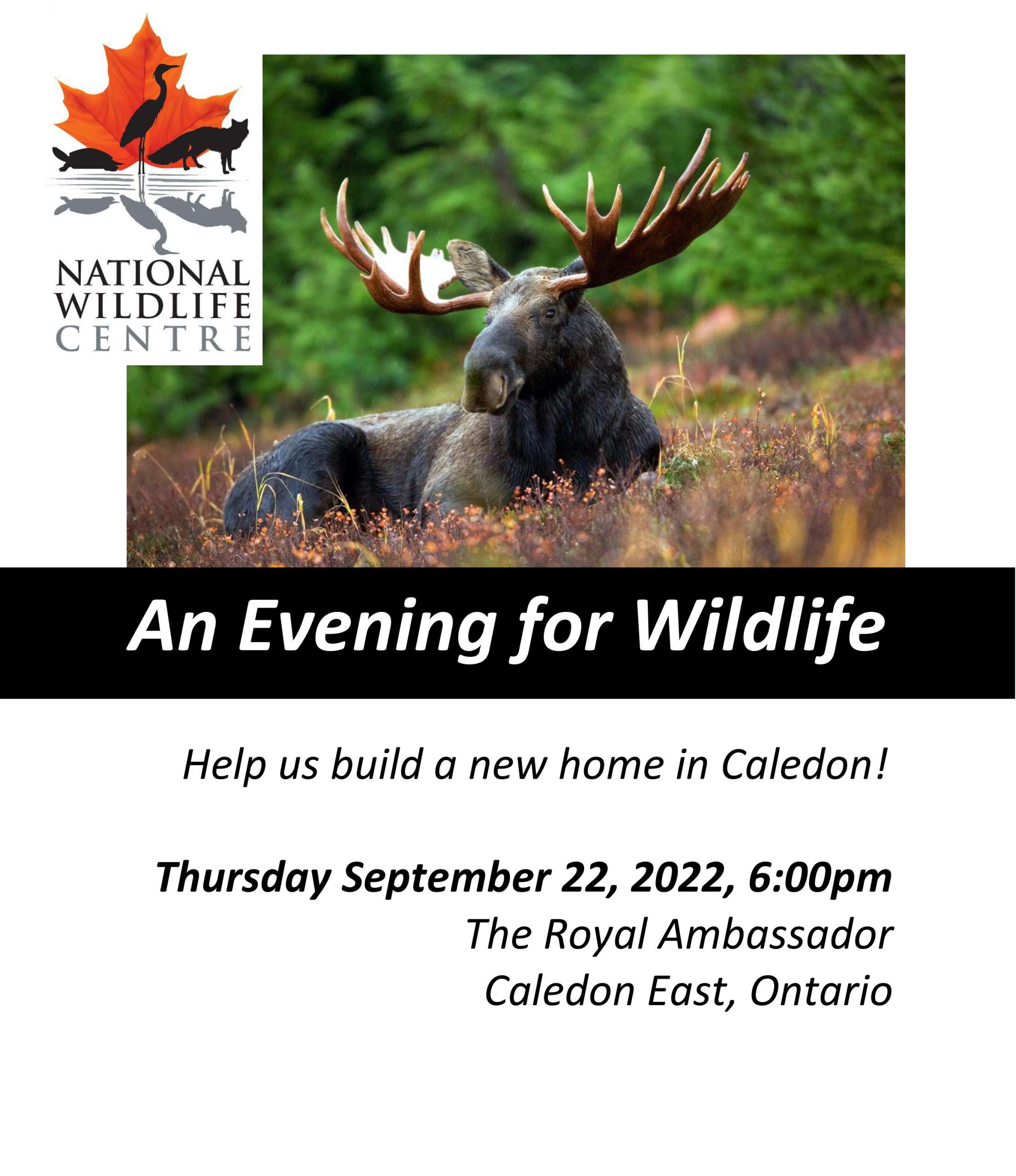 An Evening for Wildlife Sponsor Package